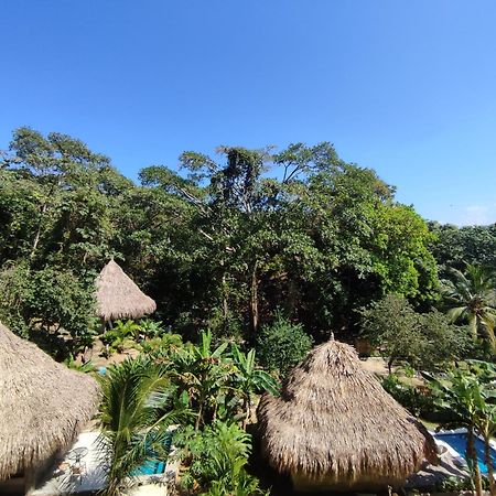 Bed and Breakfast Colibri Parque Tayrona Dentro Del Parque Nacional Tayrona El Zaino Zewnętrze zdjęcie