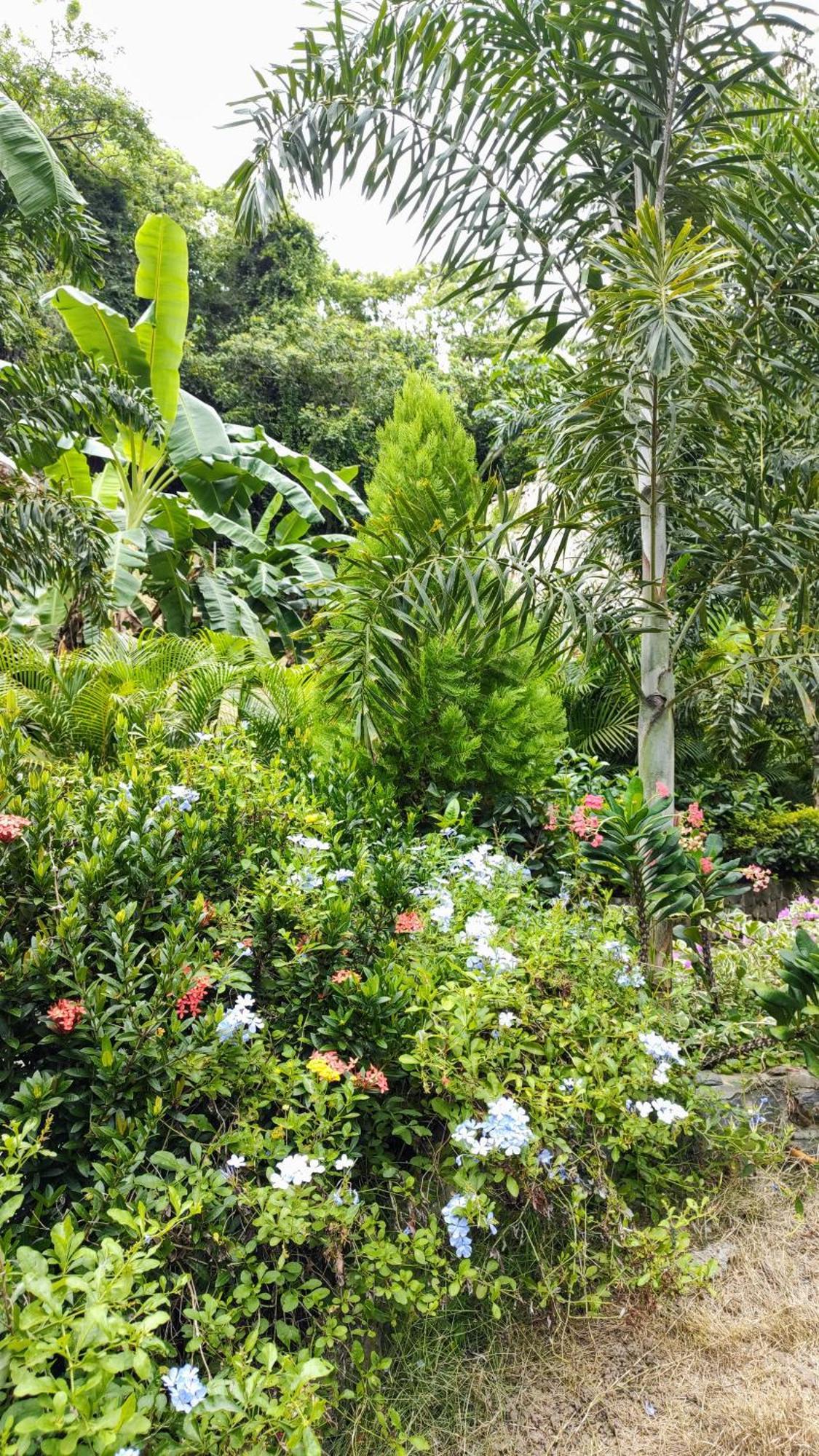 Bed and Breakfast Colibri Parque Tayrona Dentro Del Parque Nacional Tayrona El Zaino Zewnętrze zdjęcie