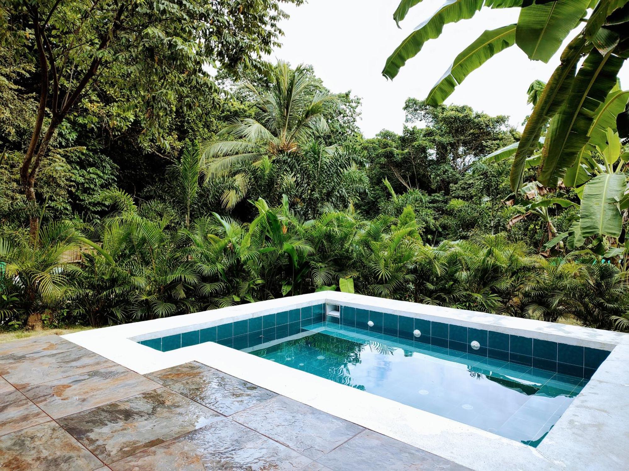 Bed and Breakfast Colibri Parque Tayrona Dentro Del Parque Nacional Tayrona El Zaino Zewnętrze zdjęcie