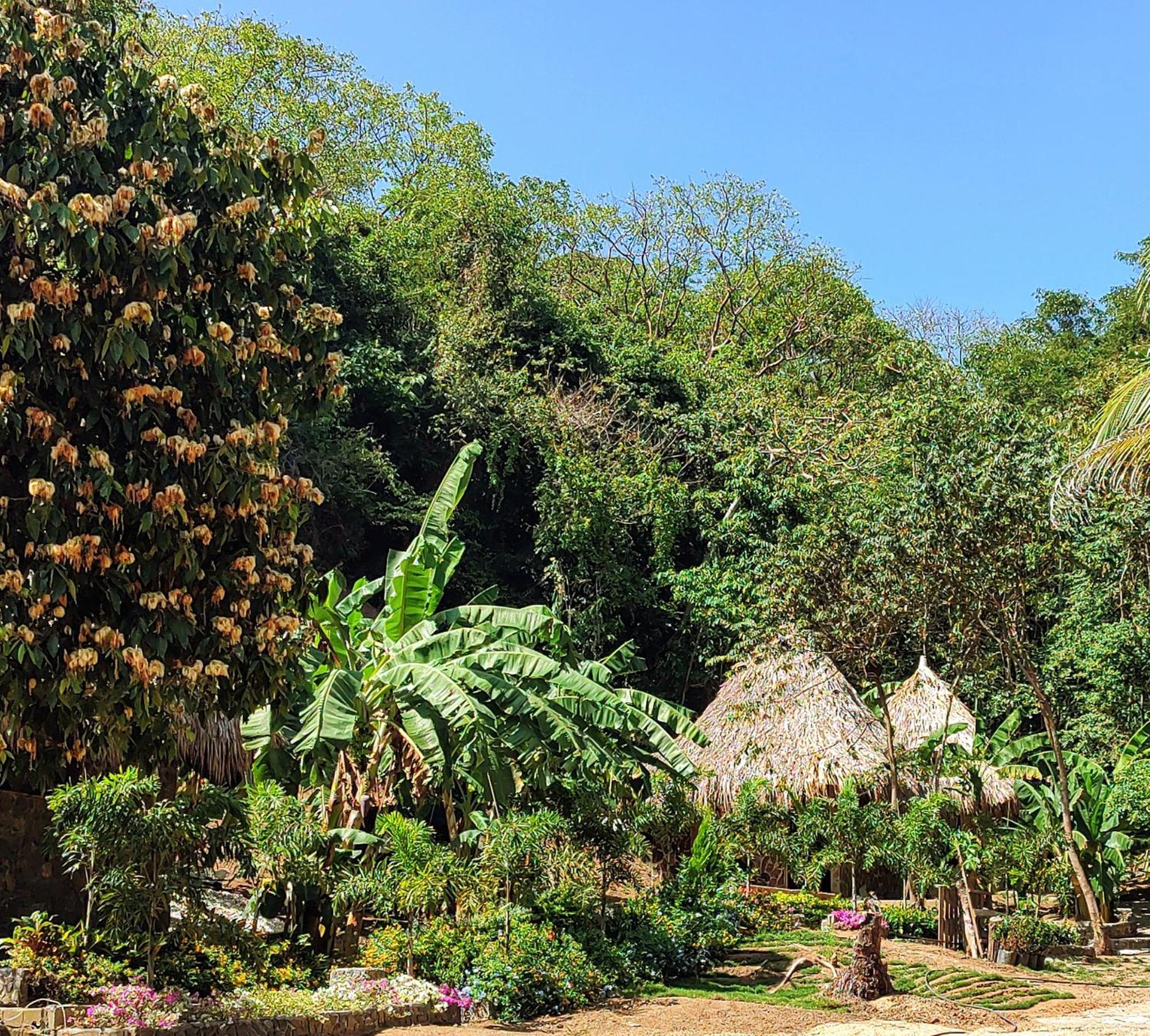 Bed and Breakfast Colibri Parque Tayrona Dentro Del Parque Nacional Tayrona El Zaino Zewnętrze zdjęcie