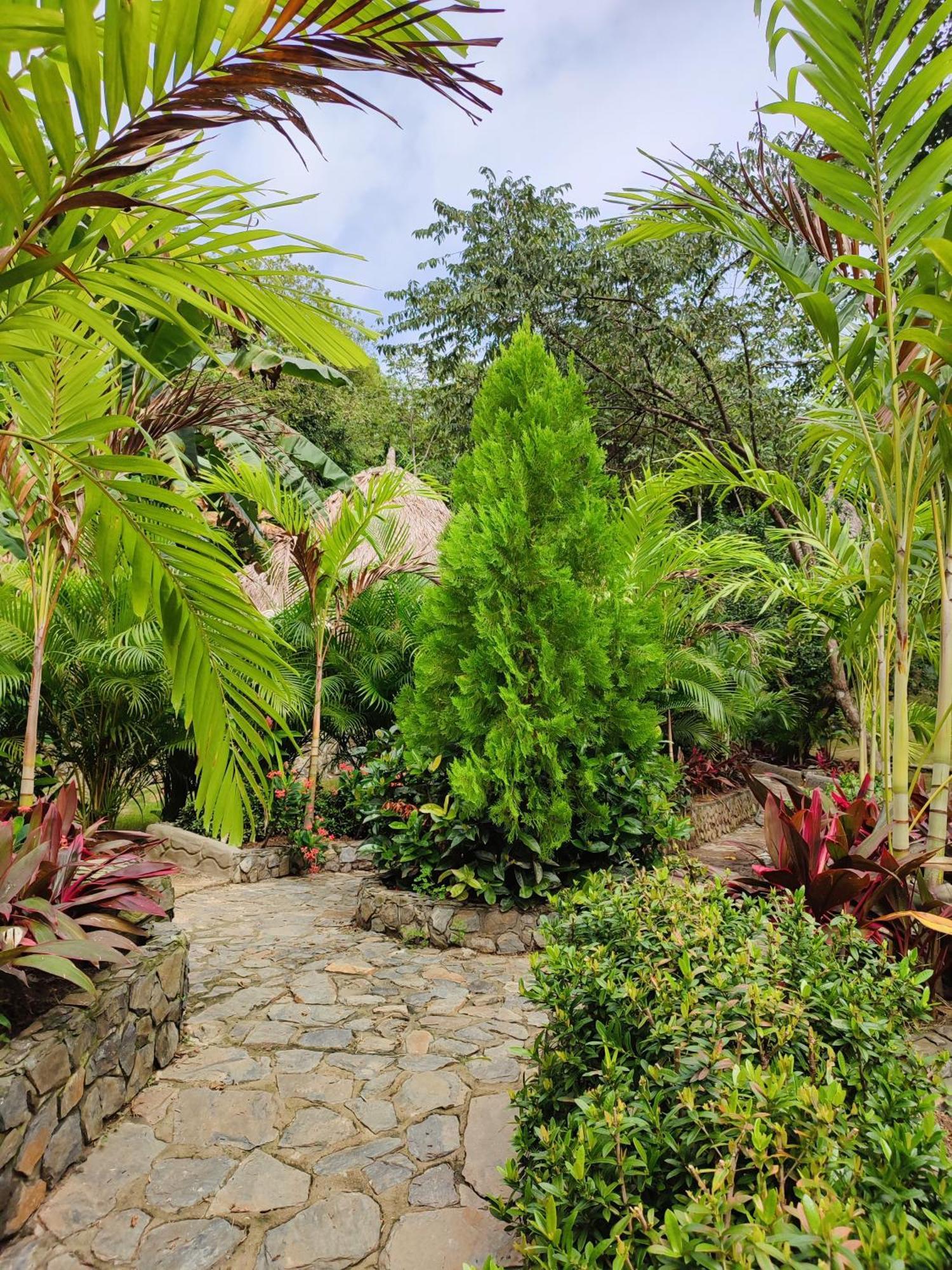 Bed and Breakfast Colibri Parque Tayrona Dentro Del Parque Nacional Tayrona El Zaino Zewnętrze zdjęcie
