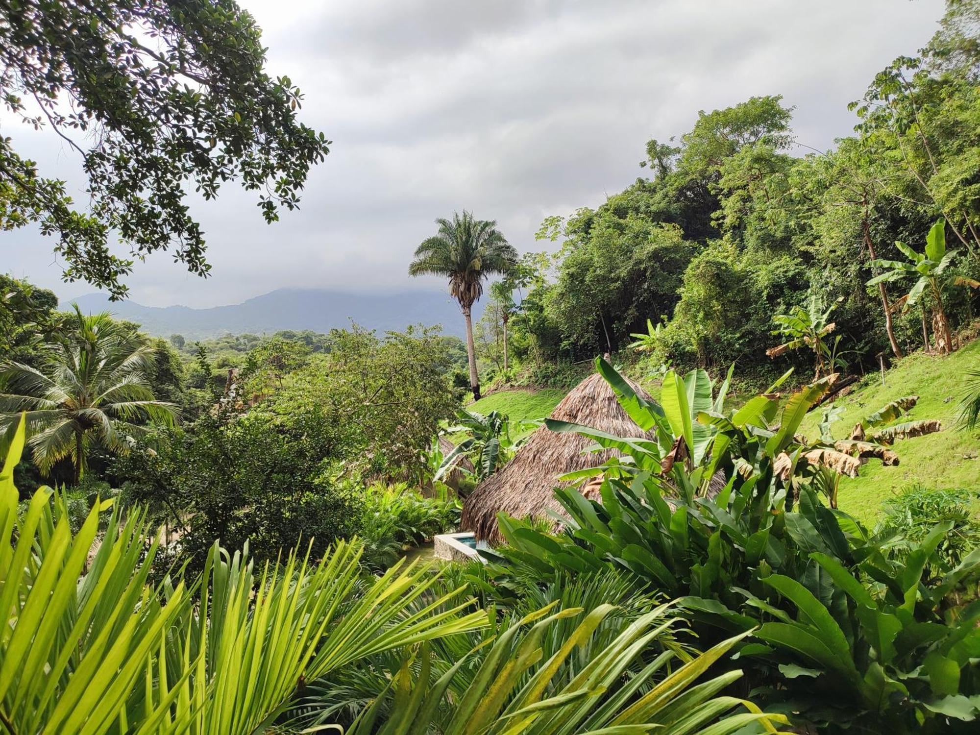Bed and Breakfast Colibri Parque Tayrona Dentro Del Parque Nacional Tayrona El Zaino Zewnętrze zdjęcie