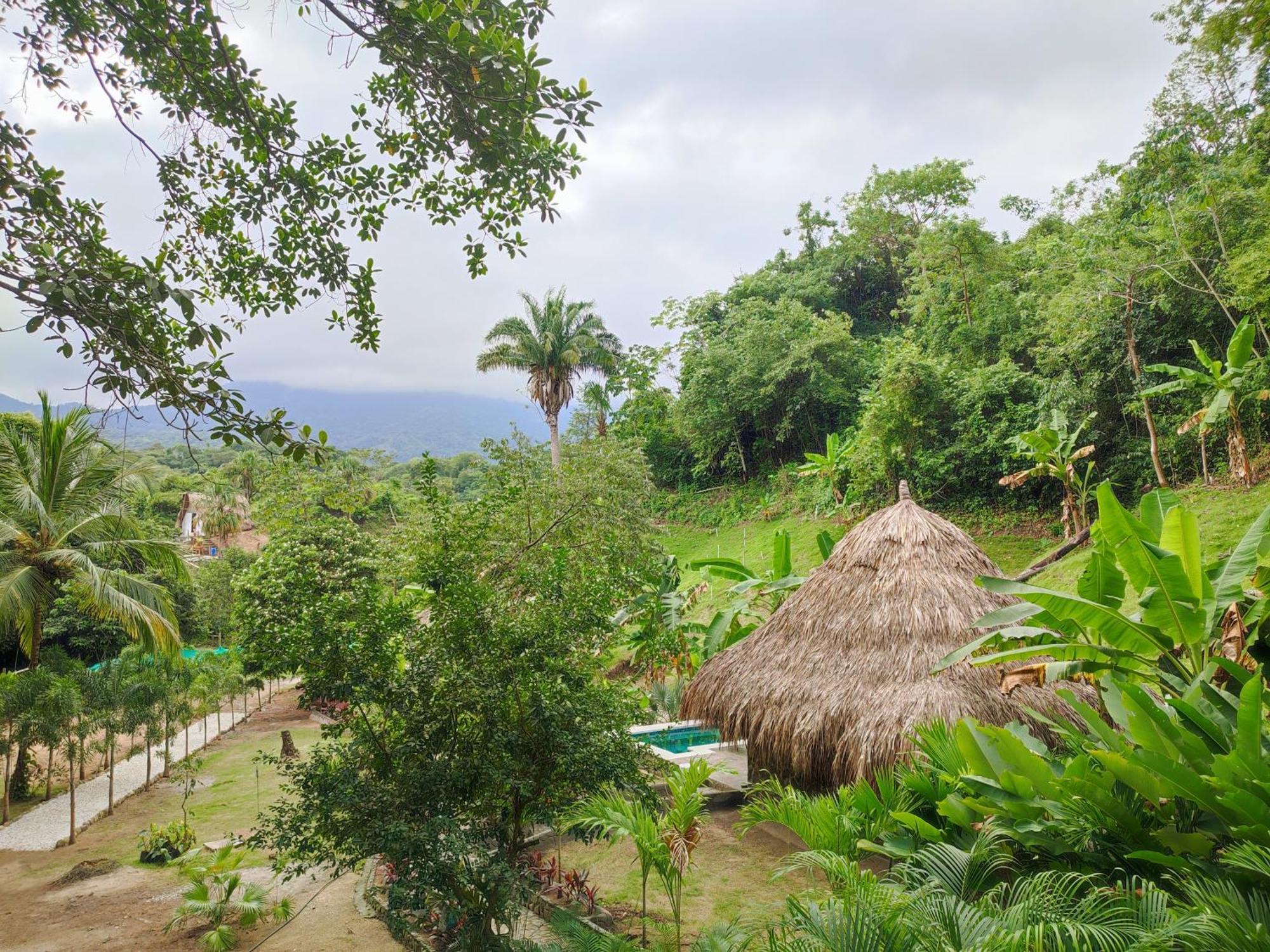 Bed and Breakfast Colibri Parque Tayrona Dentro Del Parque Nacional Tayrona El Zaino Zewnętrze zdjęcie