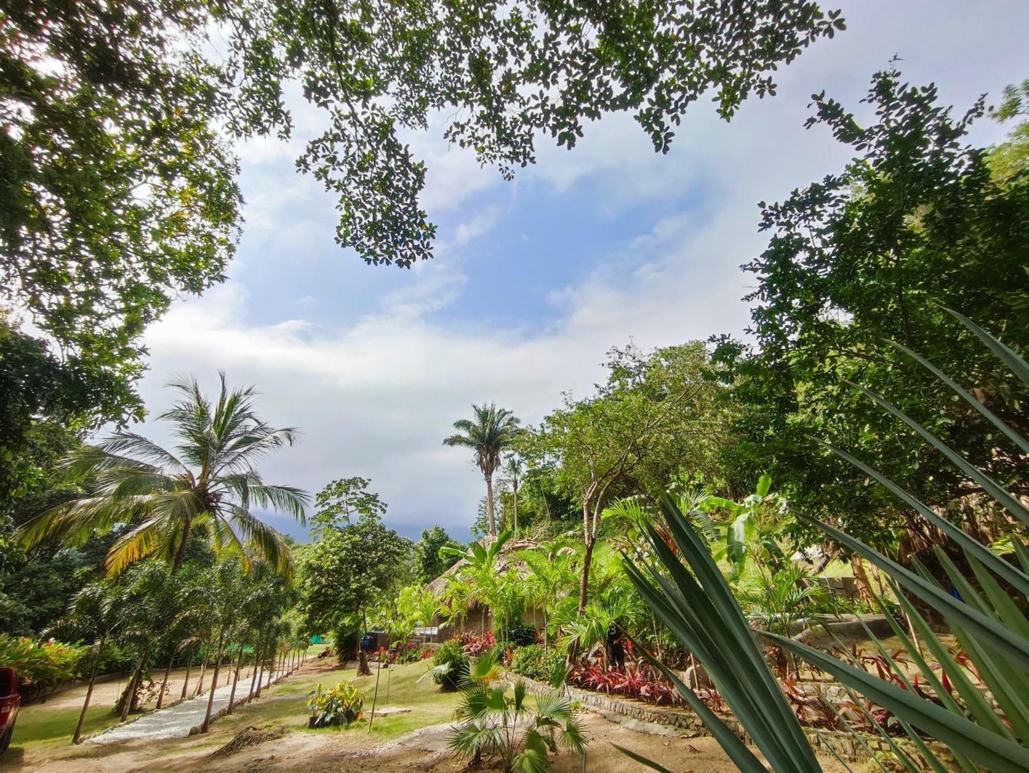 Bed and Breakfast Colibri Parque Tayrona Dentro Del Parque Nacional Tayrona El Zaino Zewnętrze zdjęcie