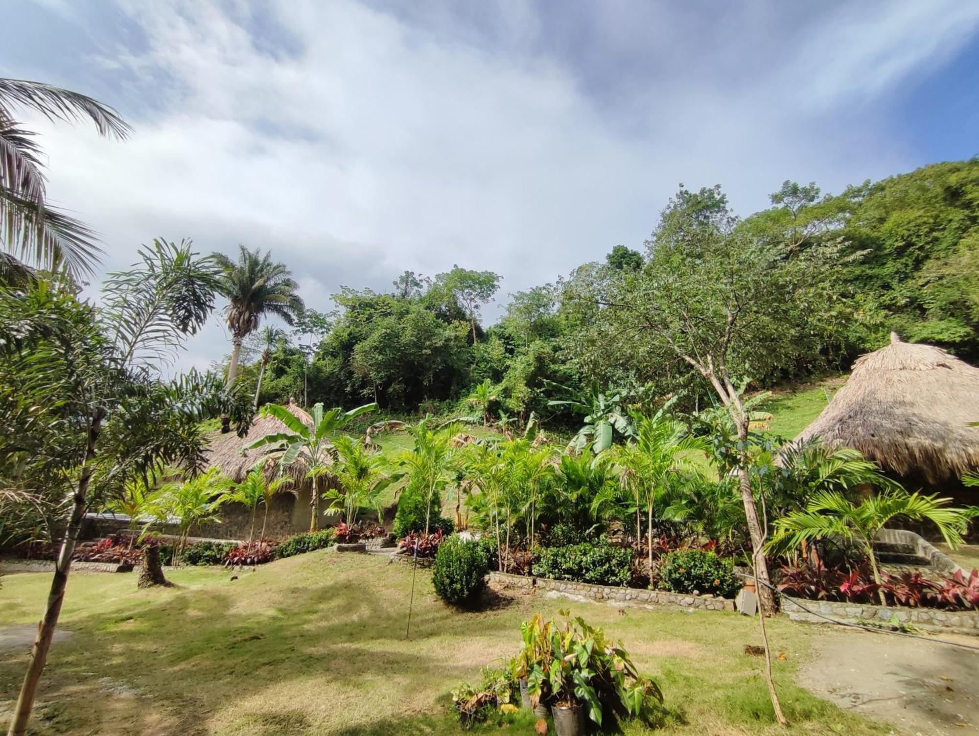 Bed and Breakfast Colibri Parque Tayrona Dentro Del Parque Nacional Tayrona El Zaino Zewnętrze zdjęcie