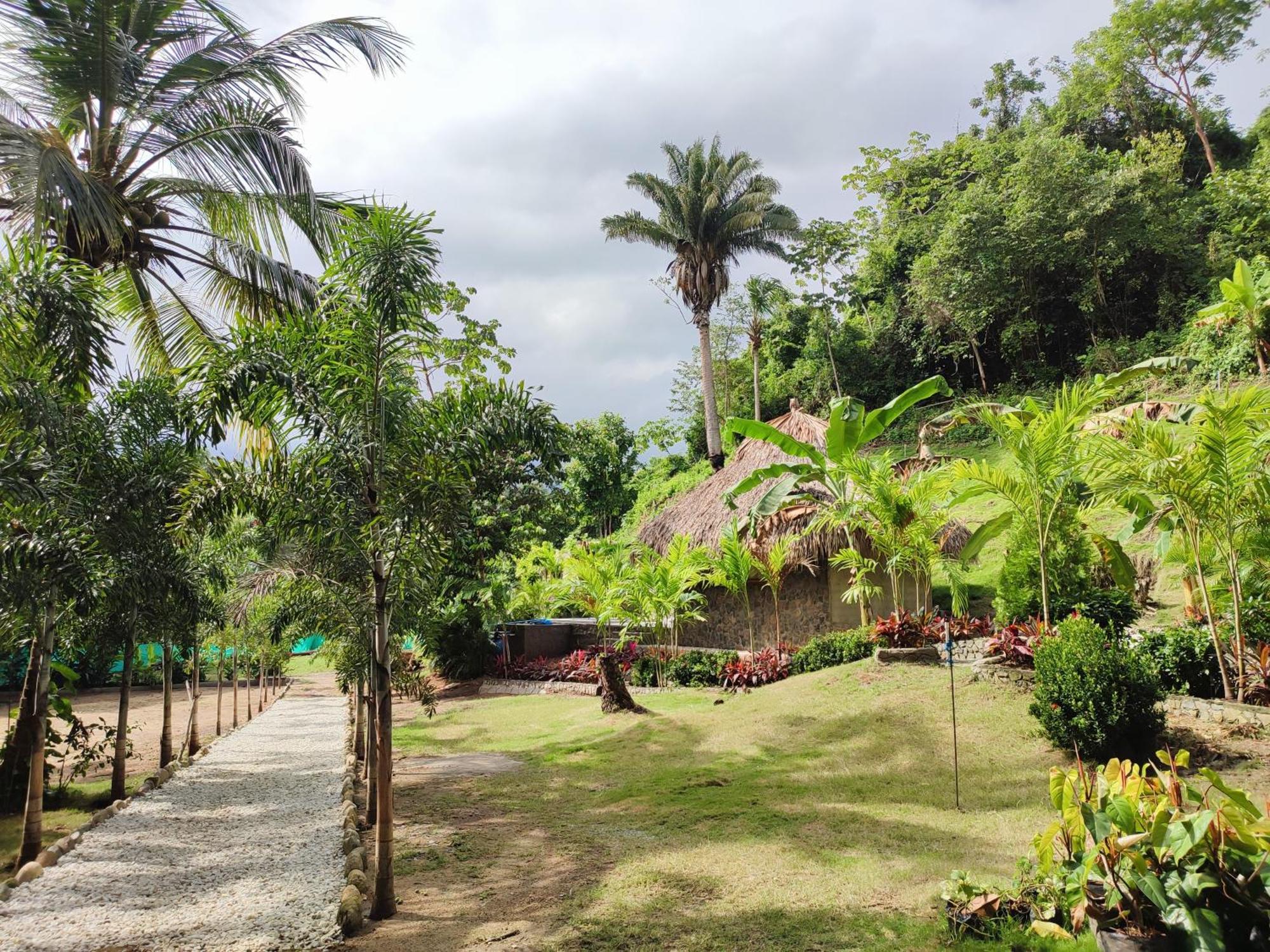 Bed and Breakfast Colibri Parque Tayrona Dentro Del Parque Nacional Tayrona El Zaino Zewnętrze zdjęcie