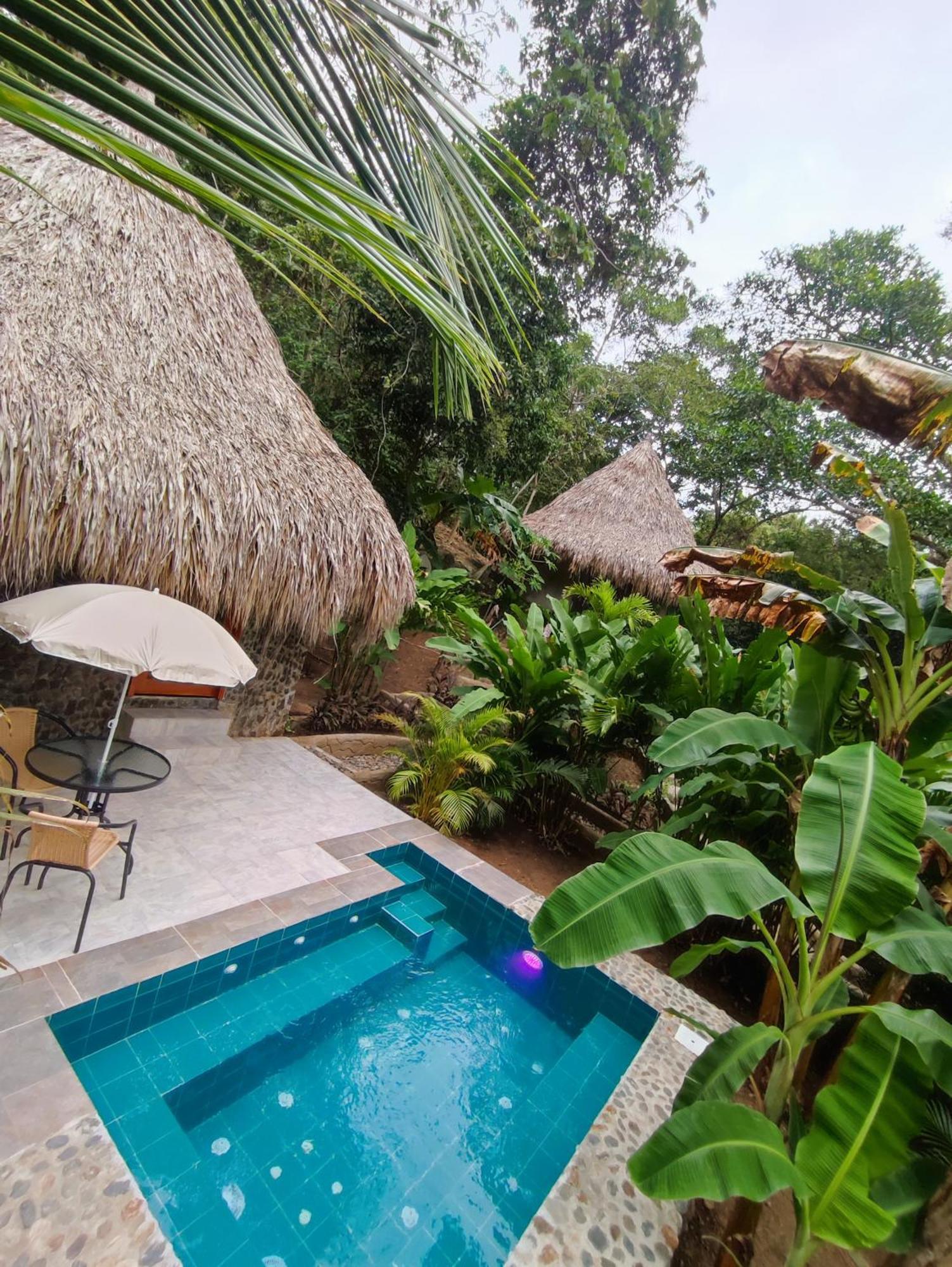 Bed and Breakfast Colibri Parque Tayrona Dentro Del Parque Nacional Tayrona El Zaino Zewnętrze zdjęcie