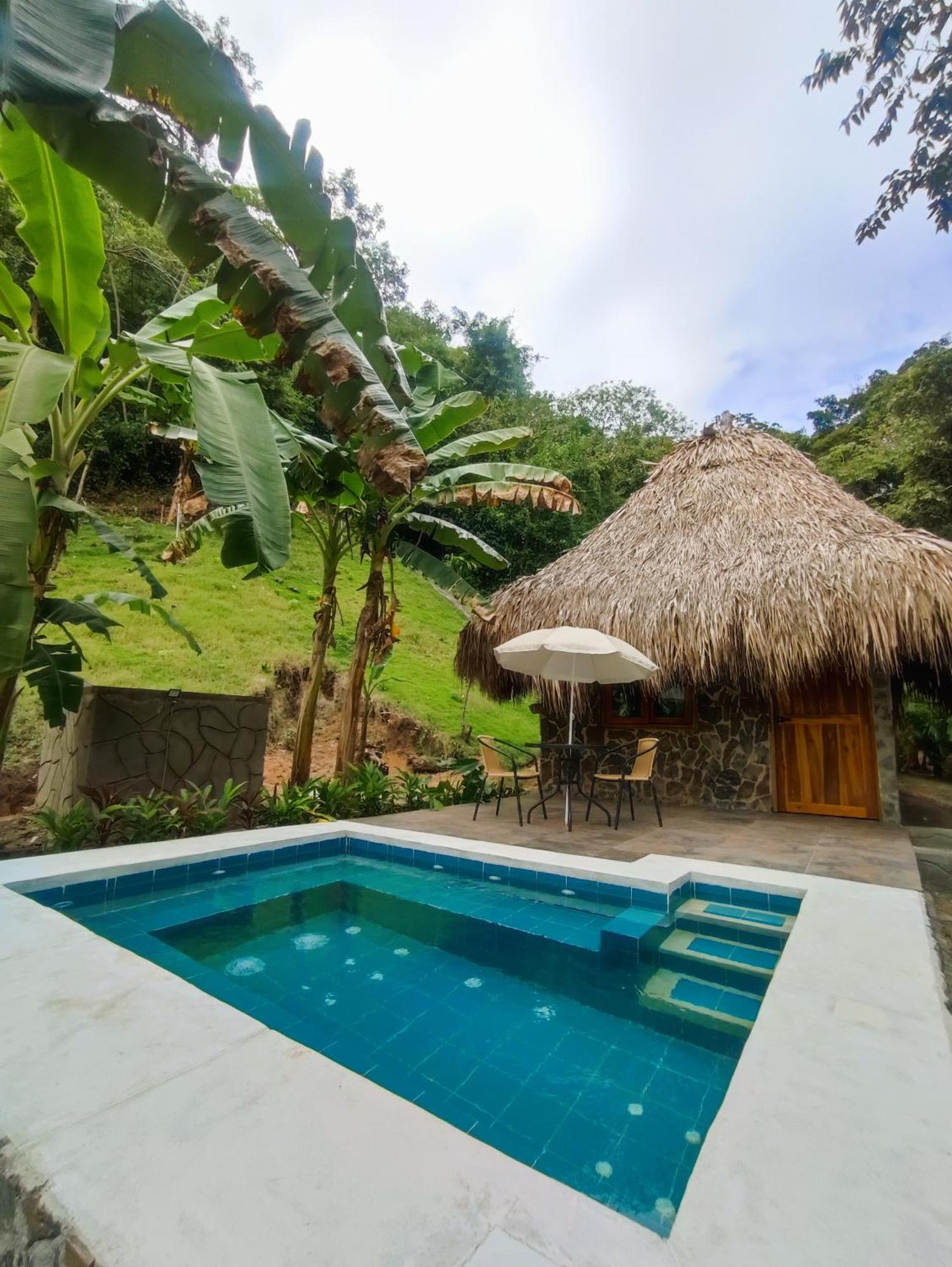 Bed and Breakfast Colibri Parque Tayrona Dentro Del Parque Nacional Tayrona El Zaino Zewnętrze zdjęcie