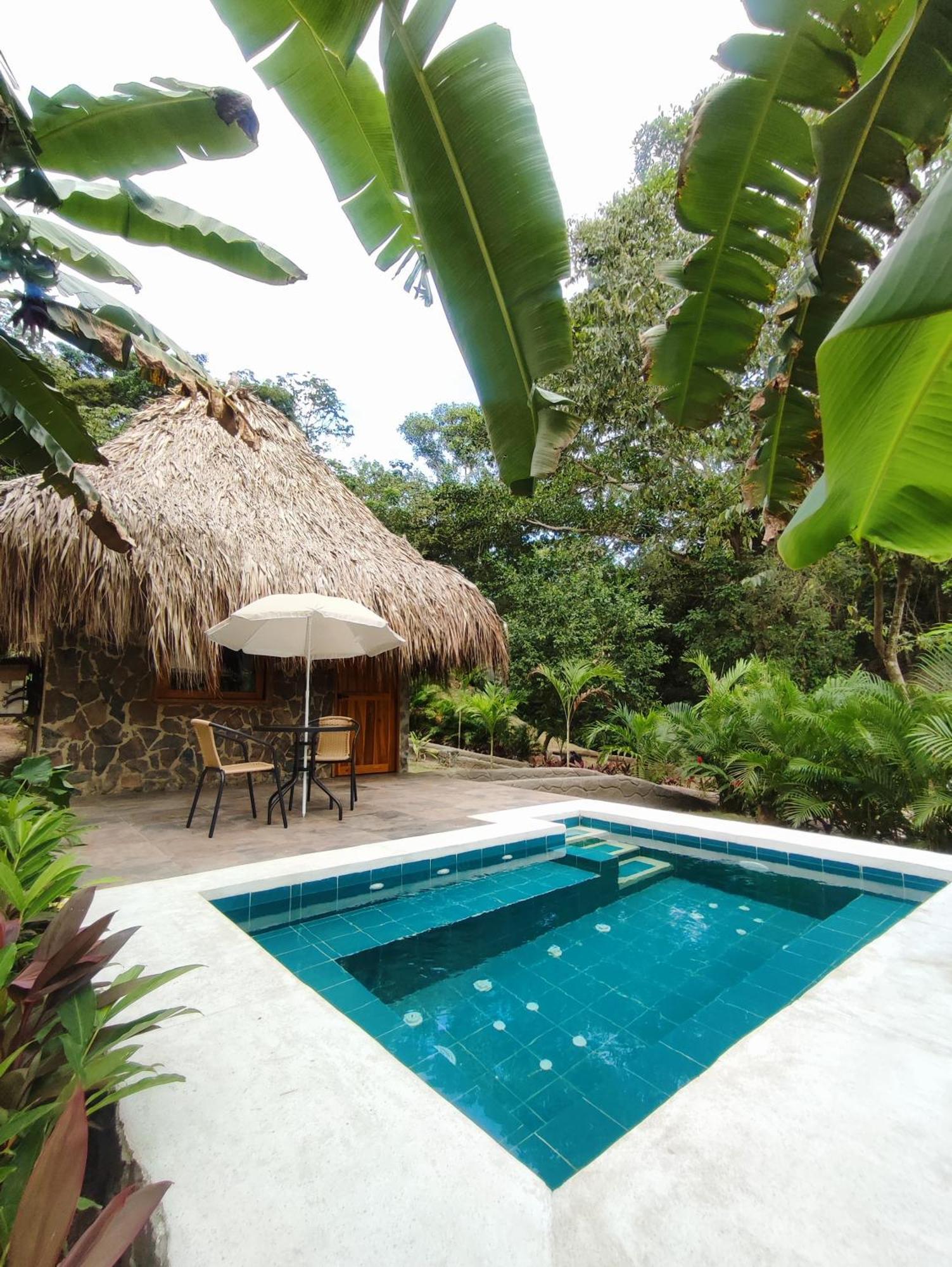 Bed and Breakfast Colibri Parque Tayrona Dentro Del Parque Nacional Tayrona El Zaino Zewnętrze zdjęcie