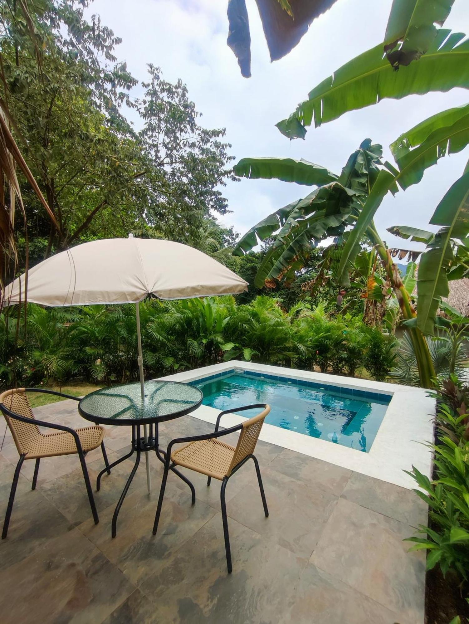 Bed and Breakfast Colibri Parque Tayrona Dentro Del Parque Nacional Tayrona El Zaino Zewnętrze zdjęcie