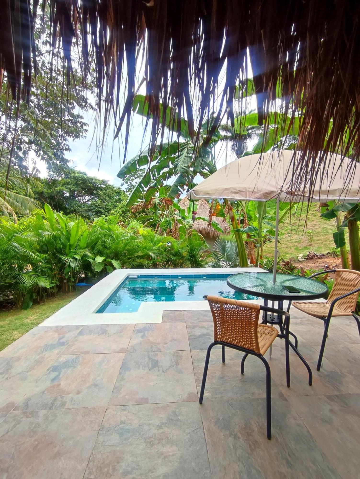 Bed and Breakfast Colibri Parque Tayrona Dentro Del Parque Nacional Tayrona El Zaino Zewnętrze zdjęcie