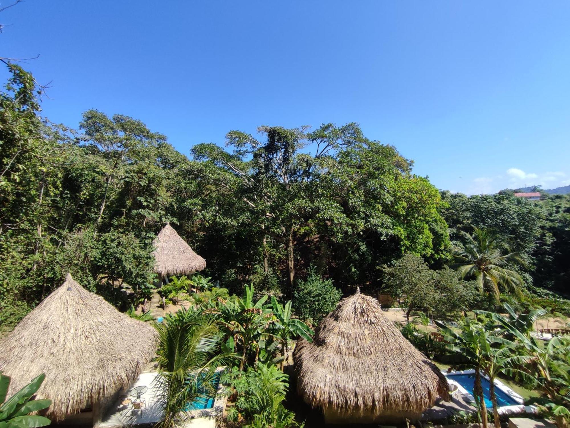 Bed and Breakfast Colibri Parque Tayrona Dentro Del Parque Nacional Tayrona El Zaino Zewnętrze zdjęcie